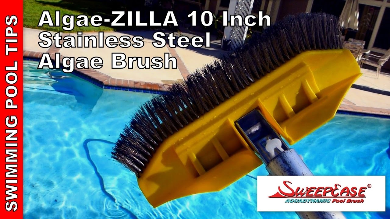 Algae-ZILLA 10