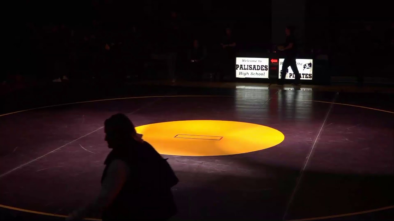 PSDtv Live Stream