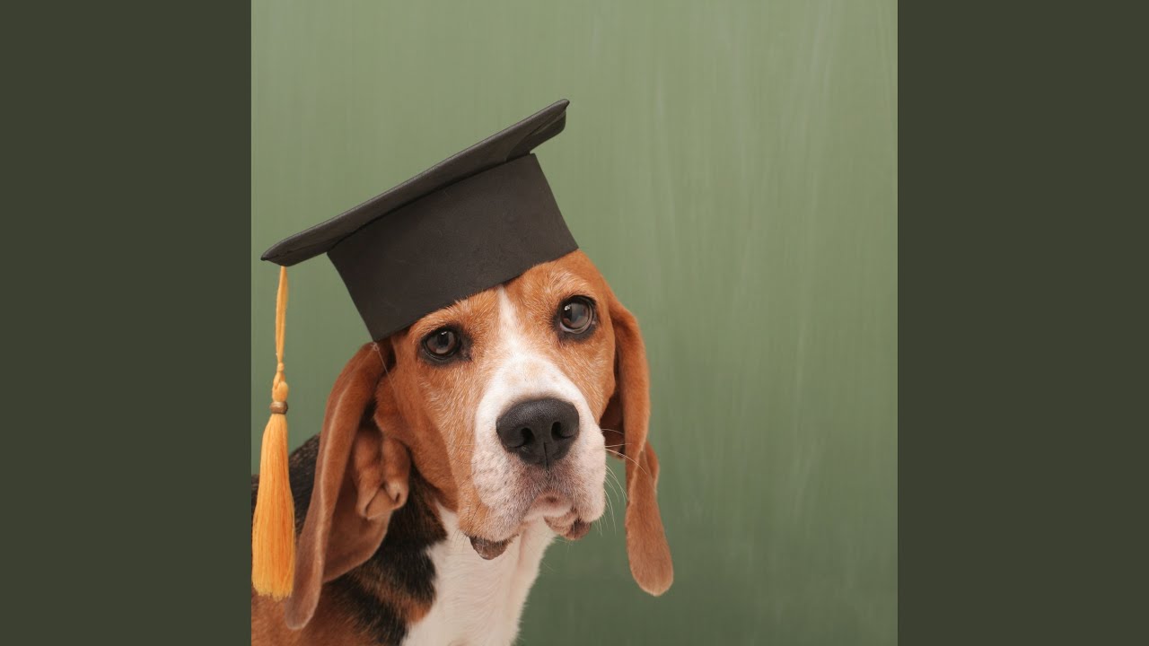 Graduation in Eternal Spring