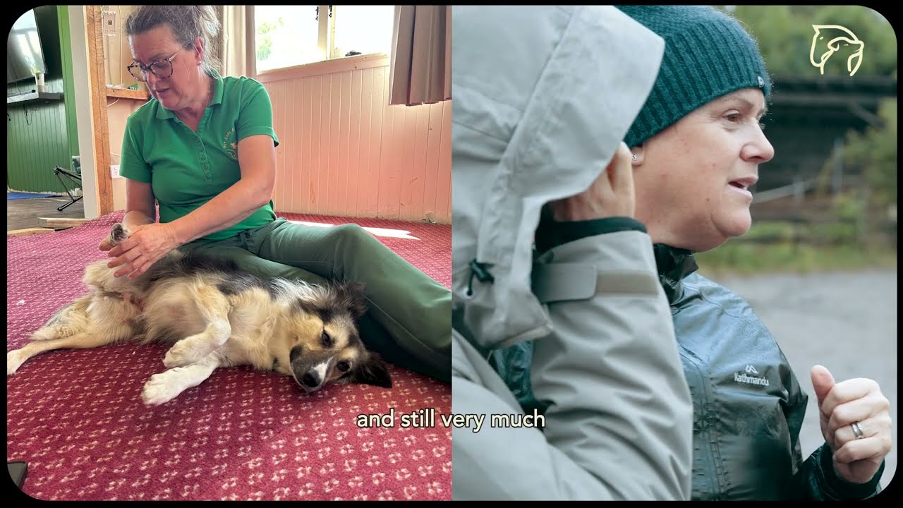 I Left Veterinary Nursing to Become an Animal Osteopath | Dogs & Horses