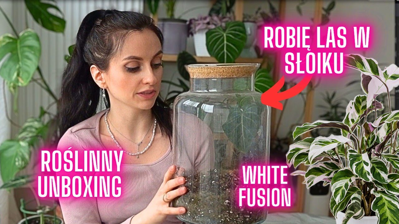 Las w Słoiku- Calathea White Fusion💜 🌿+ Roślinny unboxing| Gosia i Miłosz Vlog