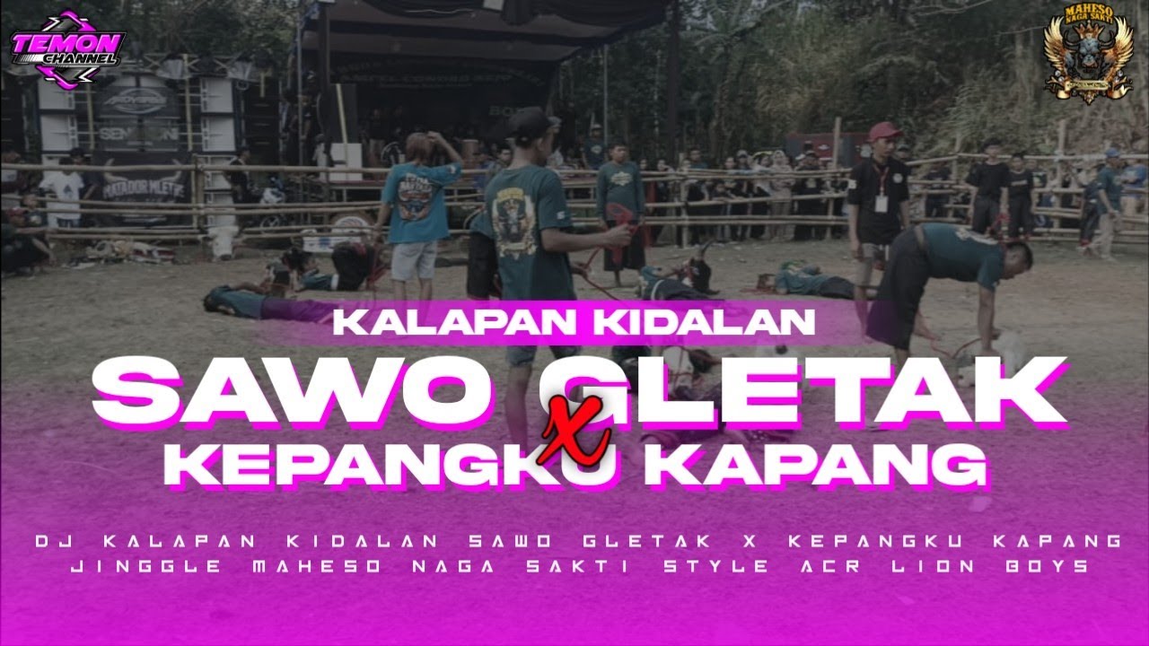 Dj Bantengan Sawo Gletak x Kepangku kapang kidalan Jinggle Maheso Naga Sakti