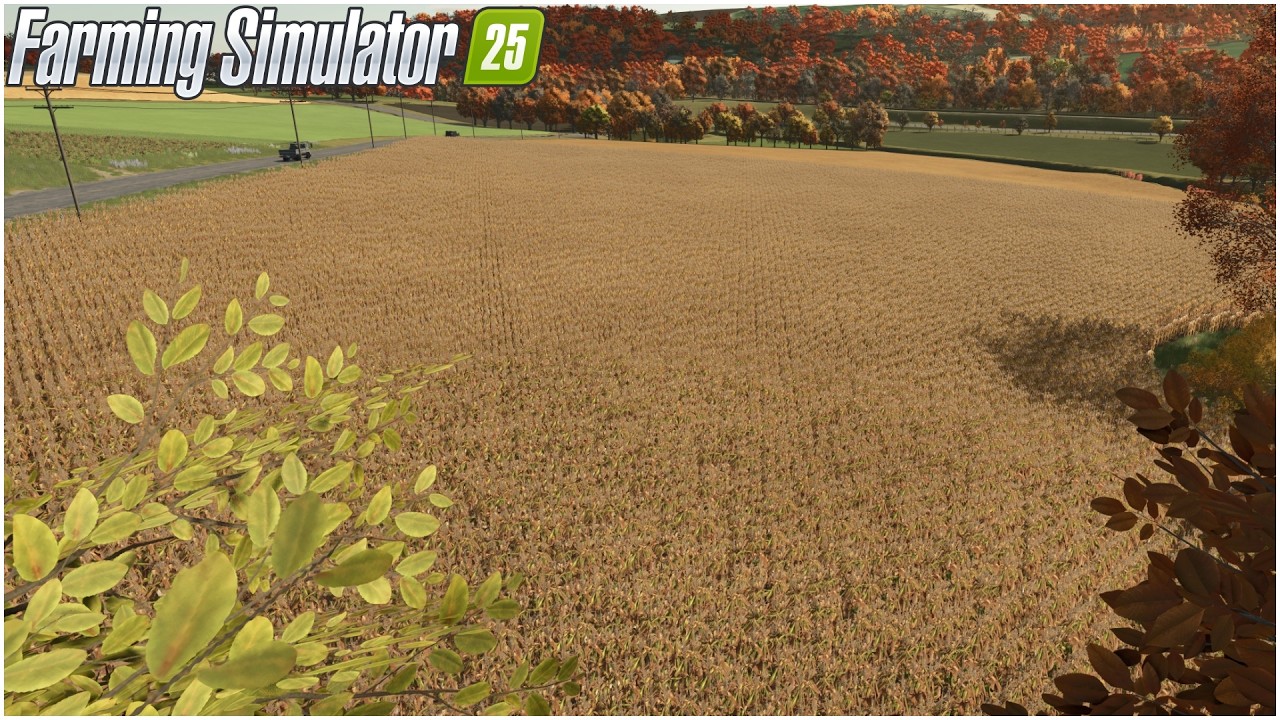 FS25 The Pichonni&egrave;re Valley #28 - UN BEL TERRENO DI MAIS DA TREBBIARE - GAMEPLAY ITA