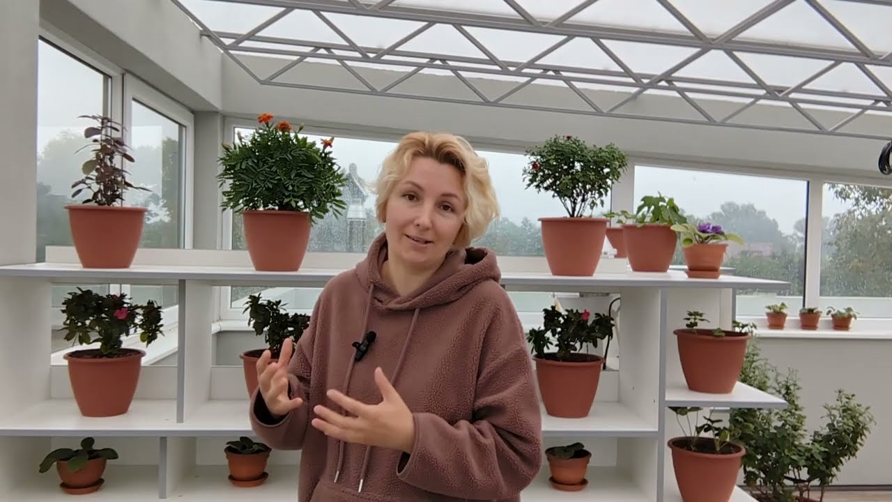 Який колір наклейки з оракалу обрати для вікна (скла), стіни, авто, дверей, човнів, реклами