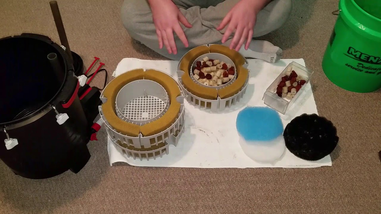 Media placement in a Fluval Fx6