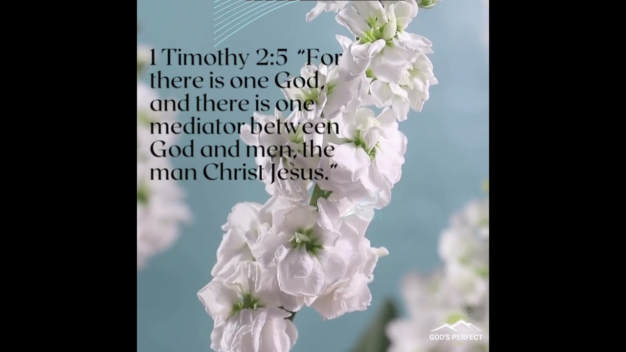 “One Mediator | 1 Timothy 2:5”