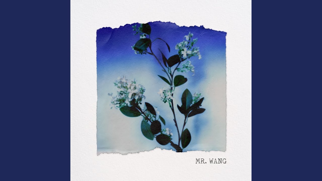 Mr. Wang