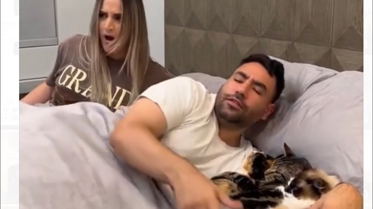 PROOF THAT MY CATS ARE HUMAN