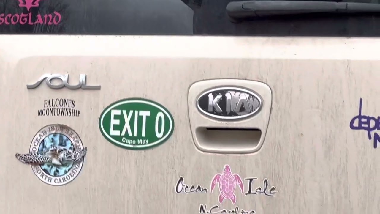 Funny Bumper Stickers for Cars that Will Make You Laugh Out Loud!