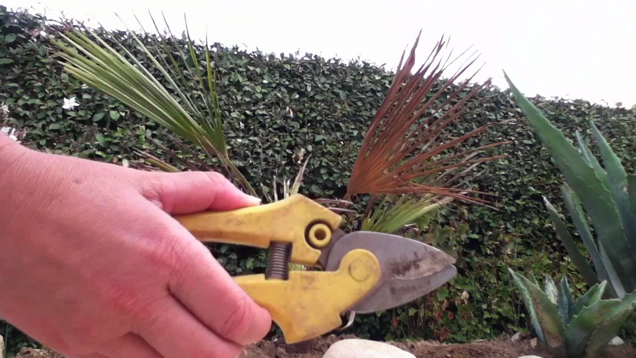 Les outils de jardinage - Comment bien utiliser un outil &agrave; tailler?