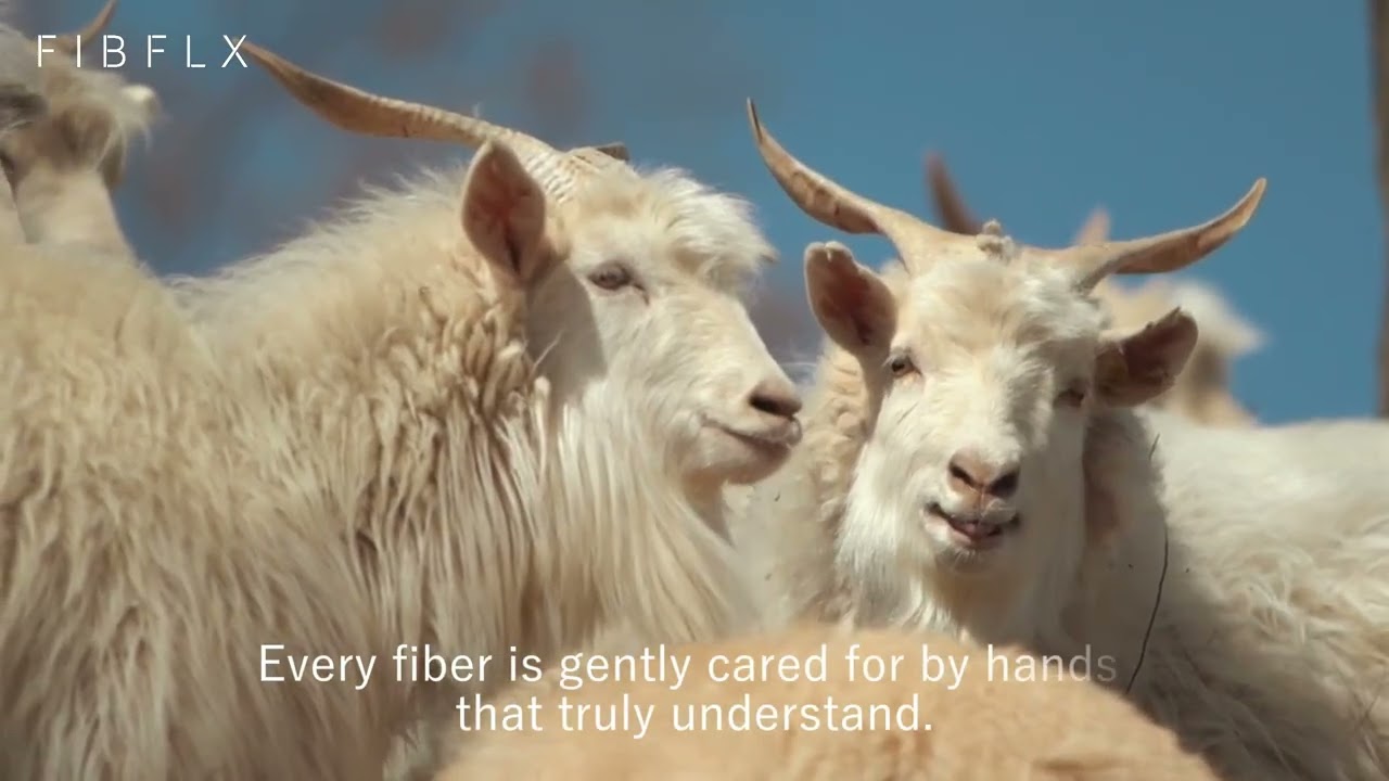 Fibflx Cashmere: Made to Treasure