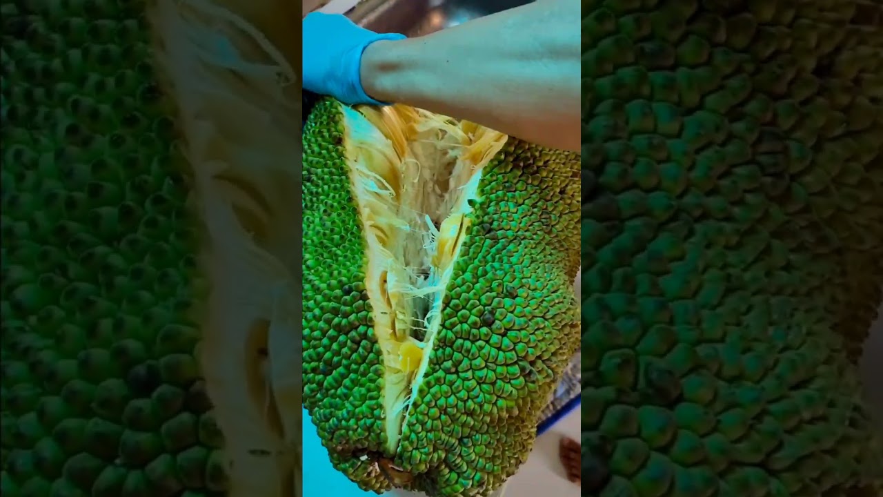 Jackfruit 2025