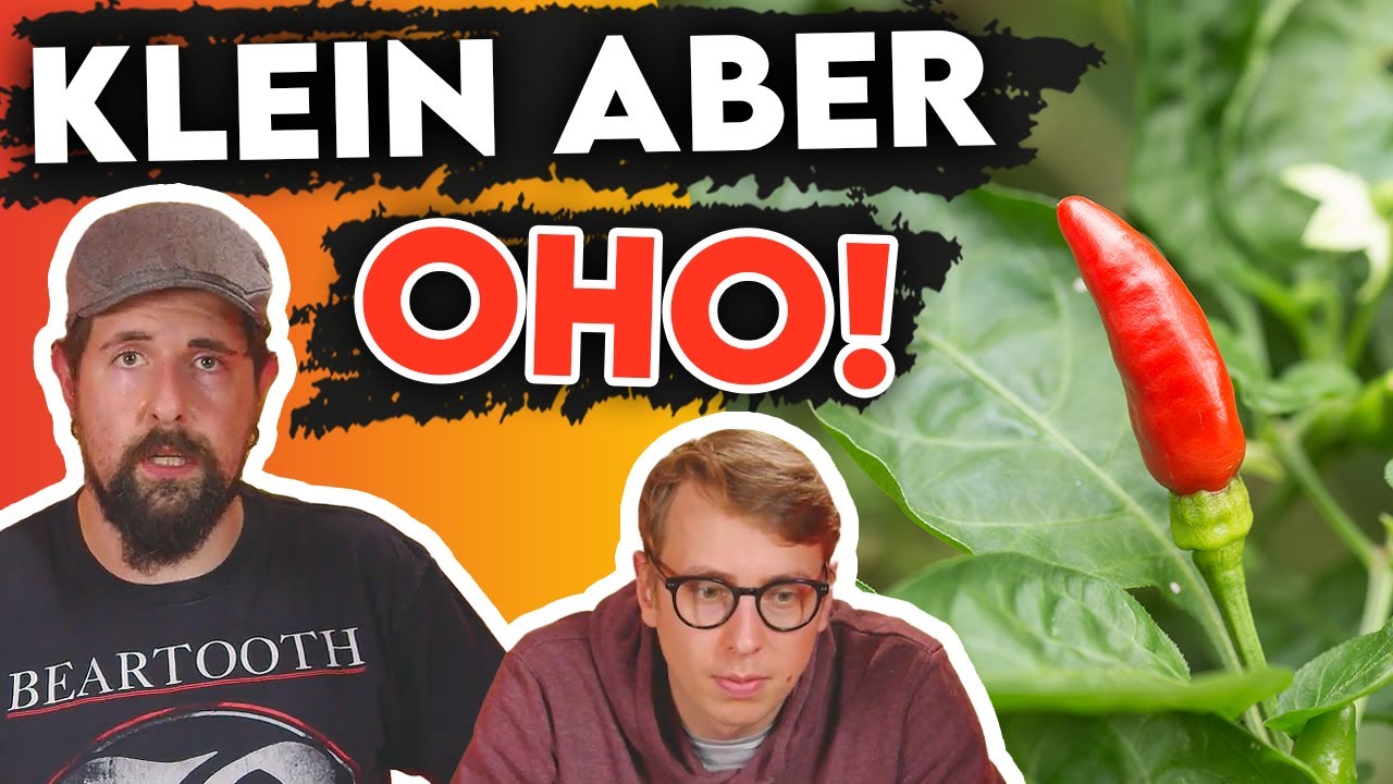 Süß, scharf und lecker | Serrano Monte D'oro Chili Verkostung