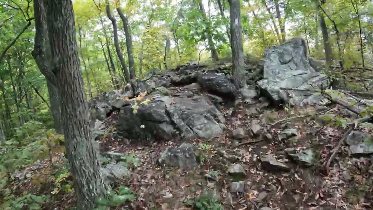 Hike#3 - Appalachian Trail – Long Hill Rd to Depot Hill Rd at Beekman, NY