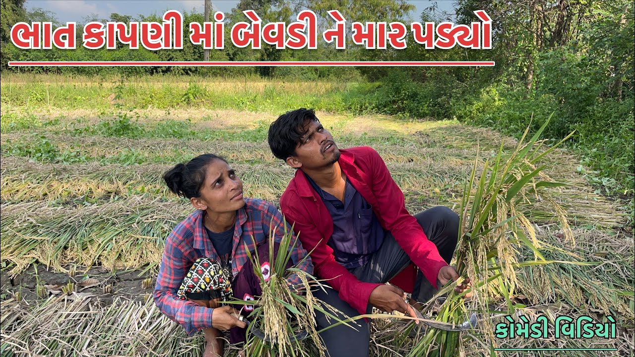 ભાત કાપણી માં બેવડી ને માર પડ્યો |New Gujarati Comedy Video New Comedy Video Adivashi Comedy Video