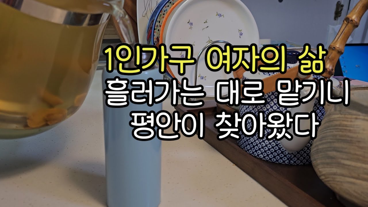 (50대1인가구vlog) 어차피 파도에 올라탄 삶,서핑한다고 생각하며 즐기며 살아보자.