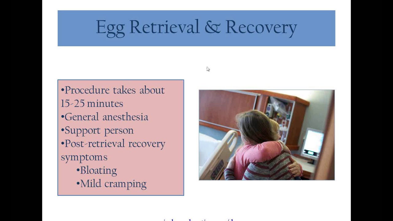 Webinar: Is Egg Donation Painful?