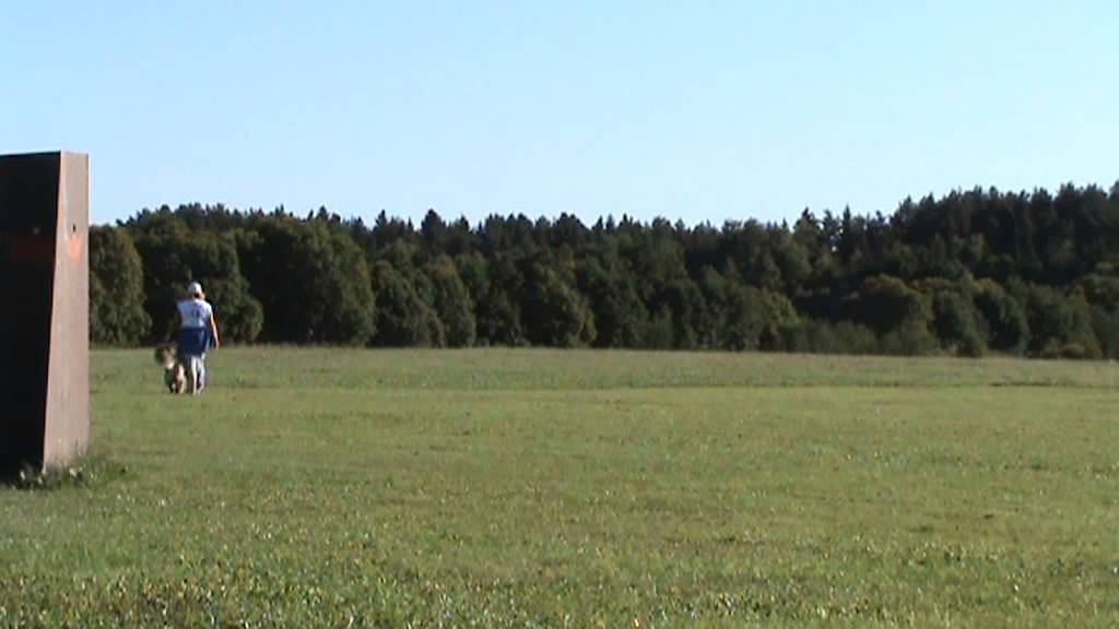 Anu & Estrellest Hurimuri Hundiin IPO3 C89a