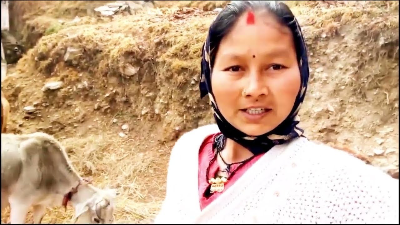 Gaon Ki Daily Morning Routine | Daily Routine My Village Life | Sarita Vlogs Uttarakhand