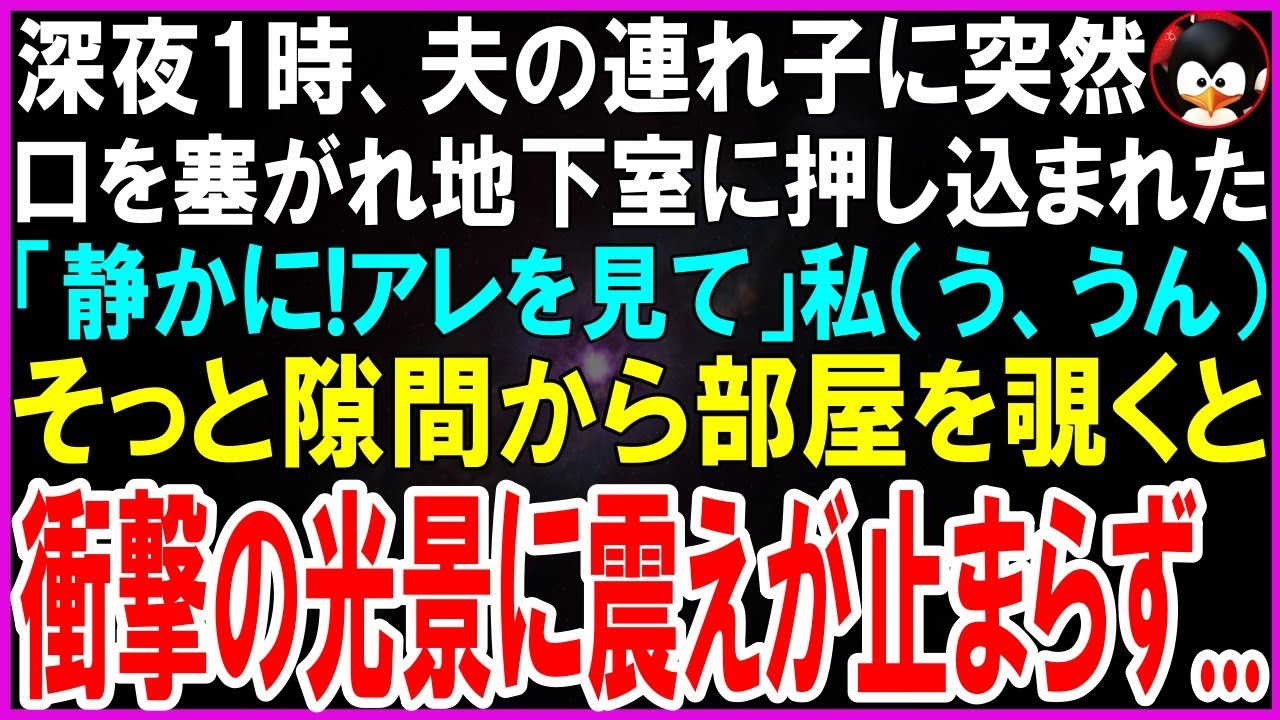 【スカッとする話】深夜1時、物音で起きると突然夫の連れ子が私を地下室に引きずり込み、「静かに...黙って見て！」私（う、うん）2分後、そっと隙間から覗いた私は衝撃の光景に震えが止まらず...【修羅場】