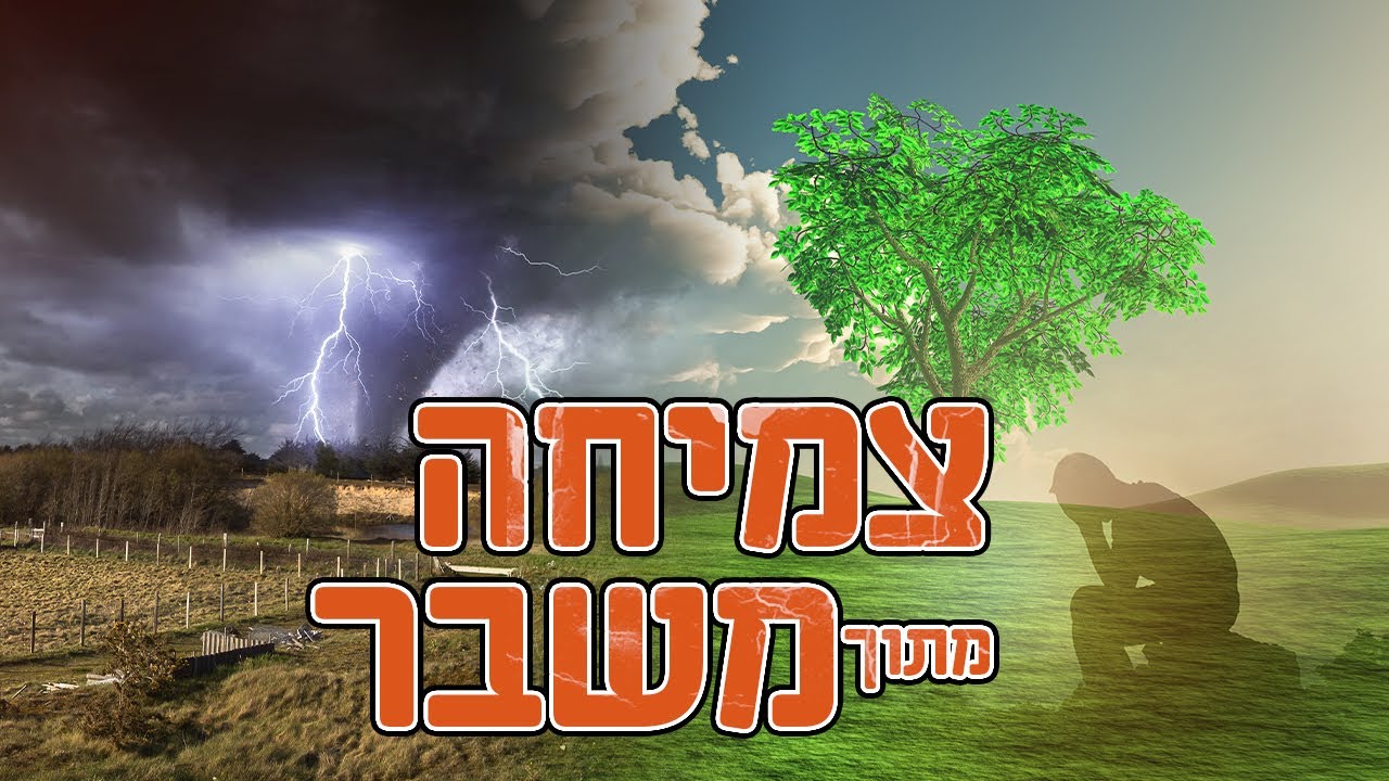 צמיחה מתוך משבר | גישת היהדות + כלים פרקטים | הרצאה עוצמתית שאסור לפספס | ד