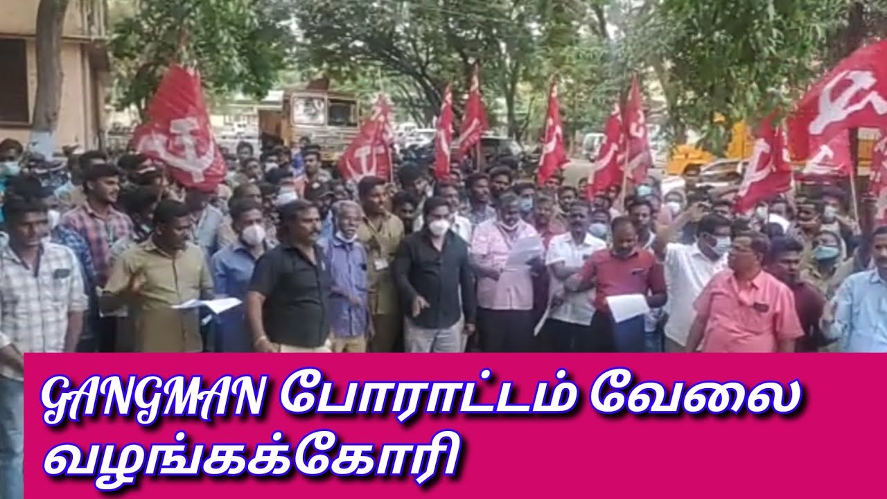 GANGMAN | GANGMAN TRANSFER | GANGMAN 5336 LATEST NEWS | TNEB GANGMAN | TANGEDCO GANGMAN LATEST NEWS