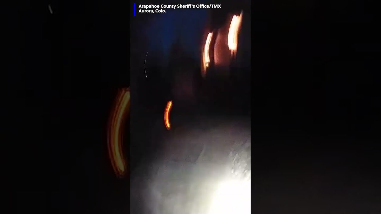 Служебная собака нашла пропавшего ребенка.