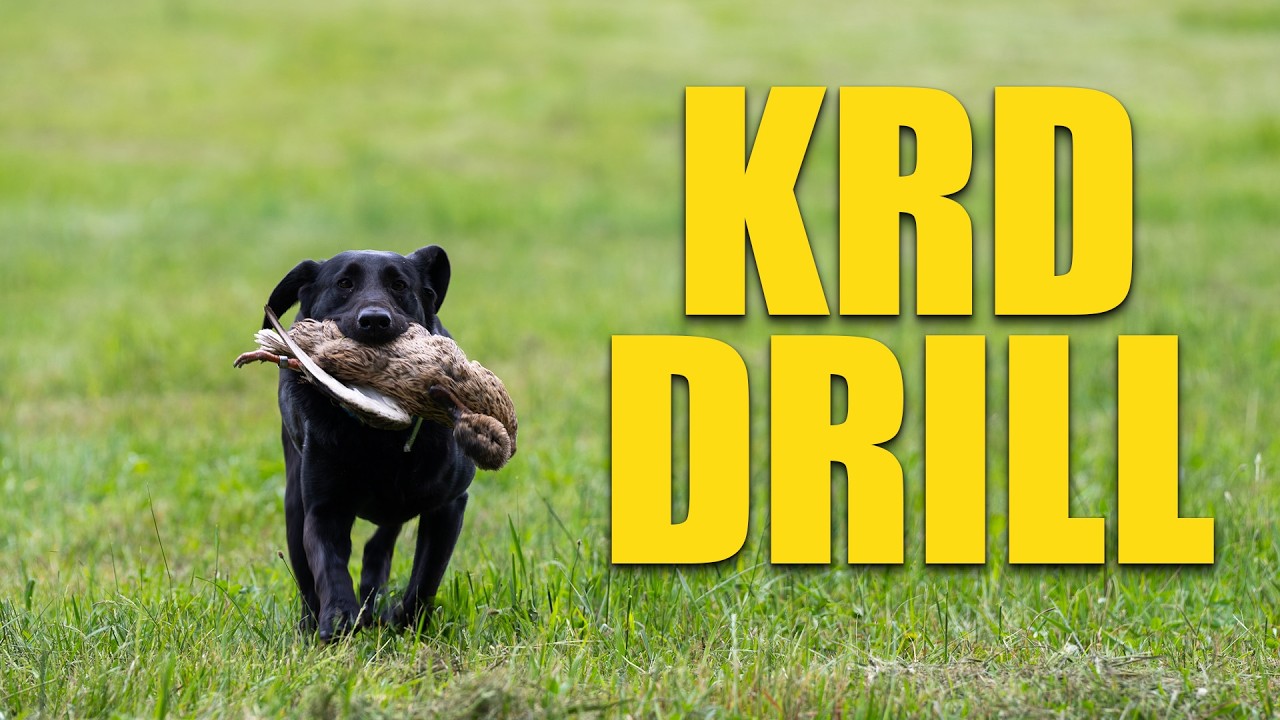 KRD Drill: более продвинутый