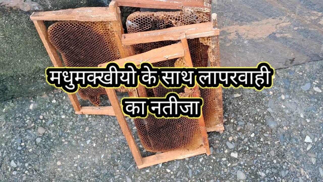 पहली बार हुई मुझसे ये गलती