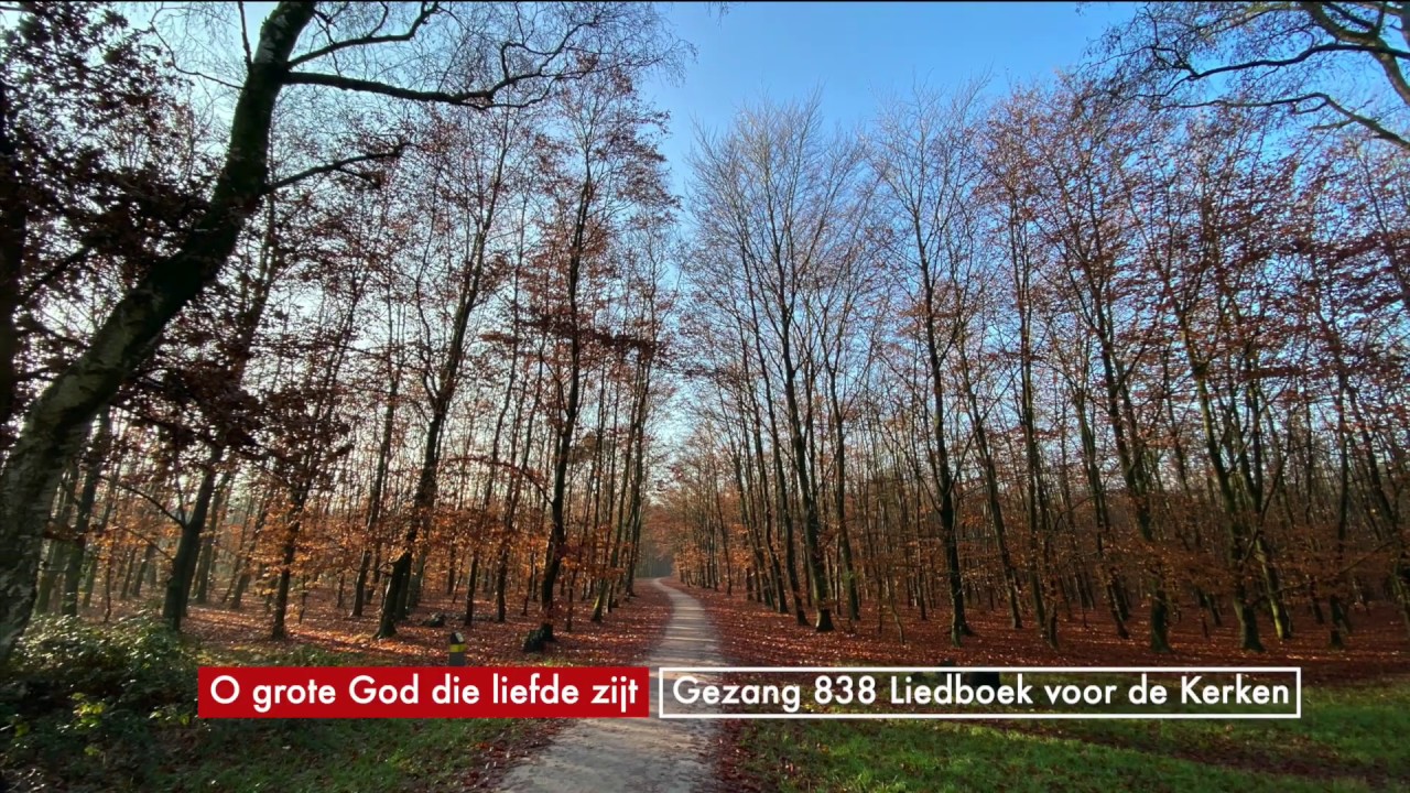 Gezang 838 Liedboek 2013 O grote God die liefde zijt
