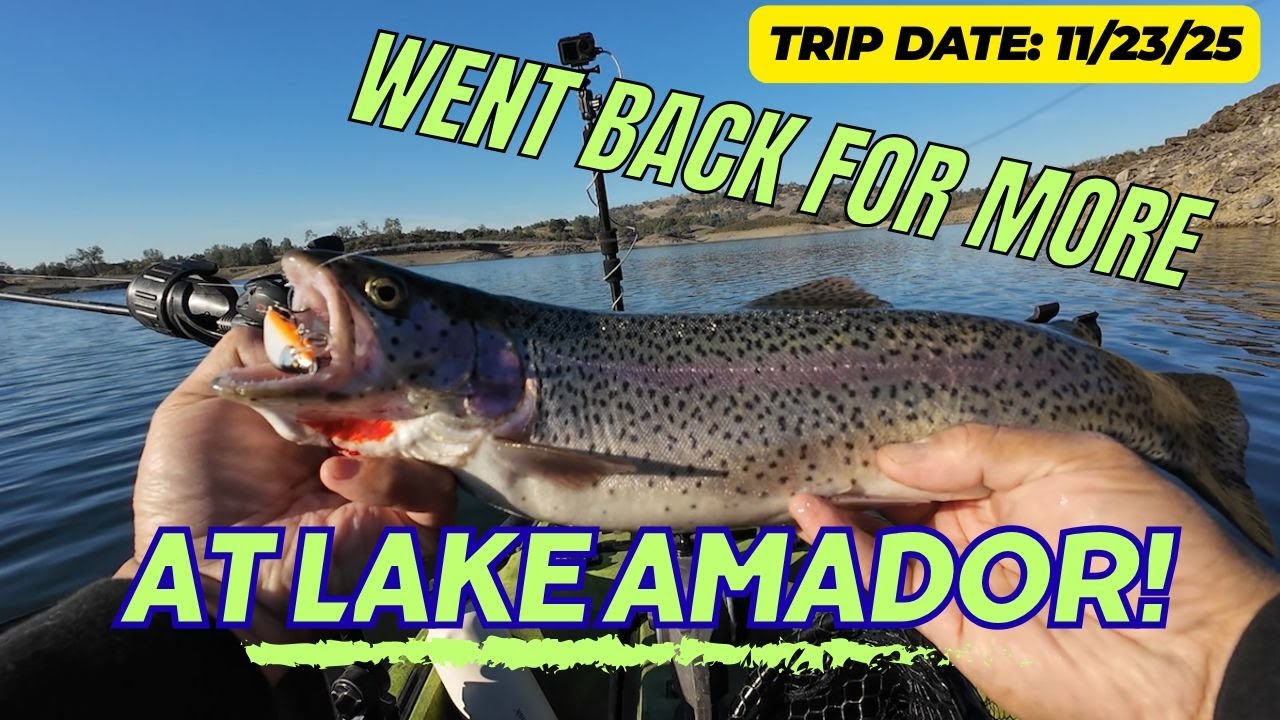 Caught some more at Lake Amador (11/23/25)