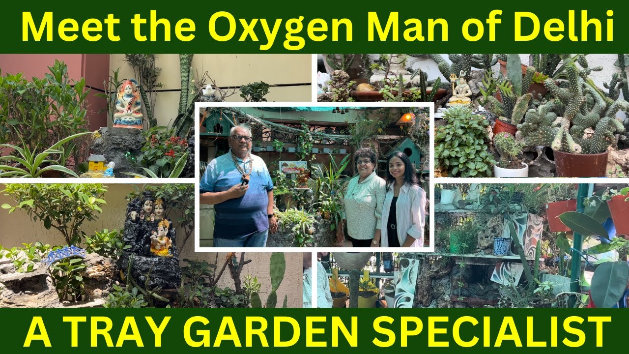 Meet the Oxygen Man of Delhi | Tray Garden Specialist | Gardeners of Delhi EP-10