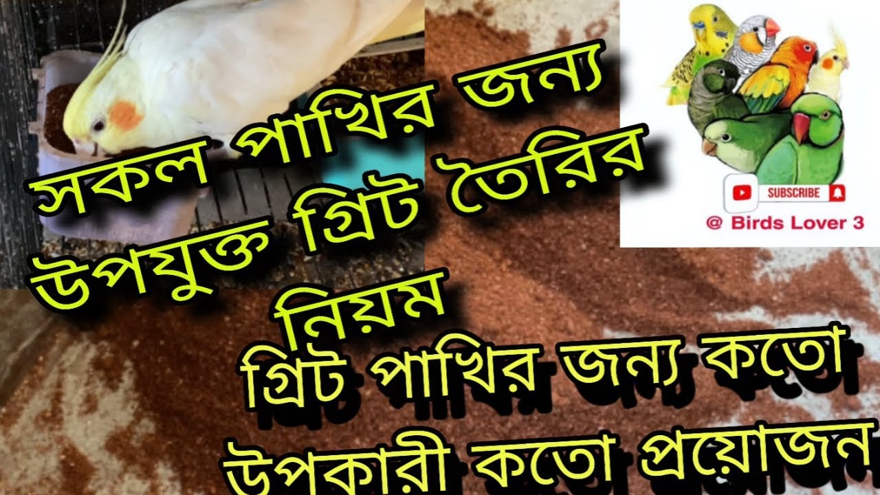 গ্রিট তৈরির নিয়ম | গ্রিট তৈরির পদ্ধতি | পাখির জন্য সঠিক পুষ্টি যুক্ত গ্রিট তৈরির নিয়ম|Grid for Birds