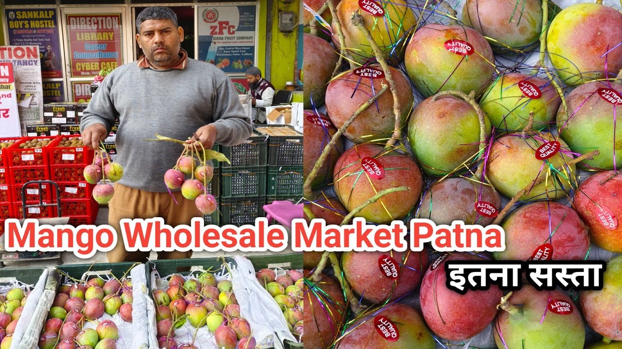 Mango Wholesale Market Patna | Patna Fruit Market | Patna Ka Fal Mandi 