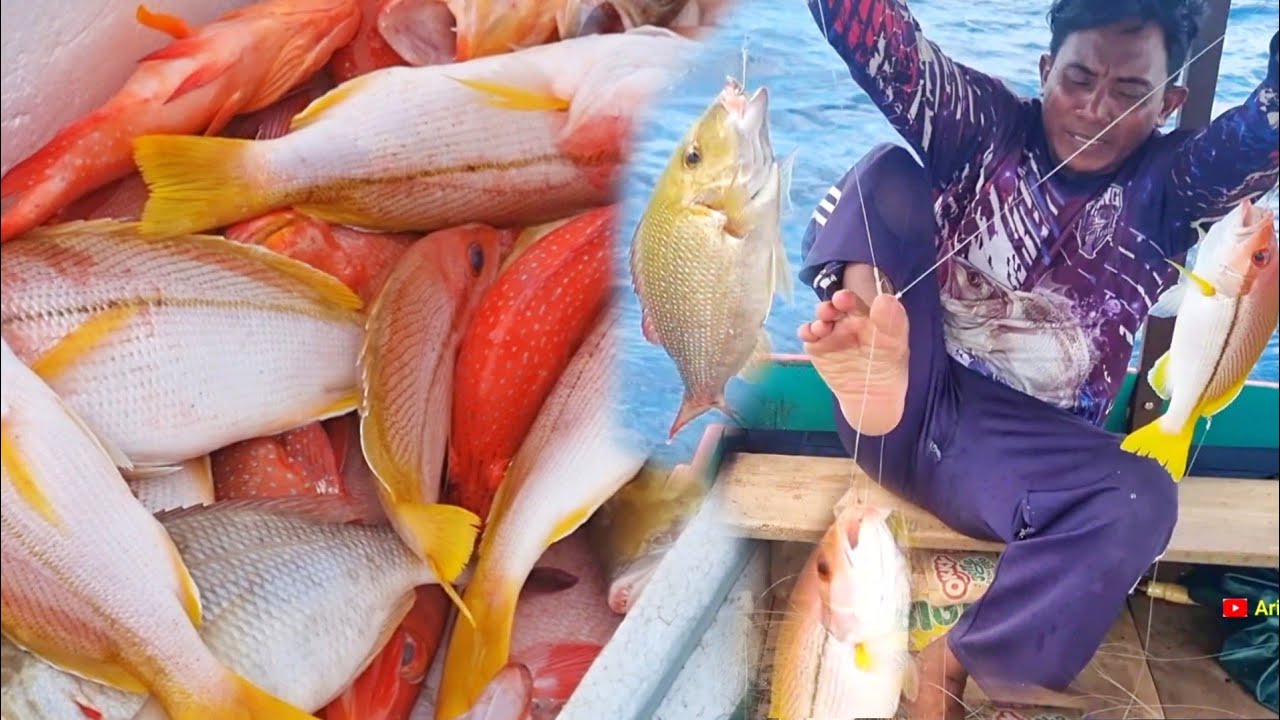SUPER GACOR...‼️KETEMU TEMPAT IKAN  MAKANNYA SAMPAI SIANG