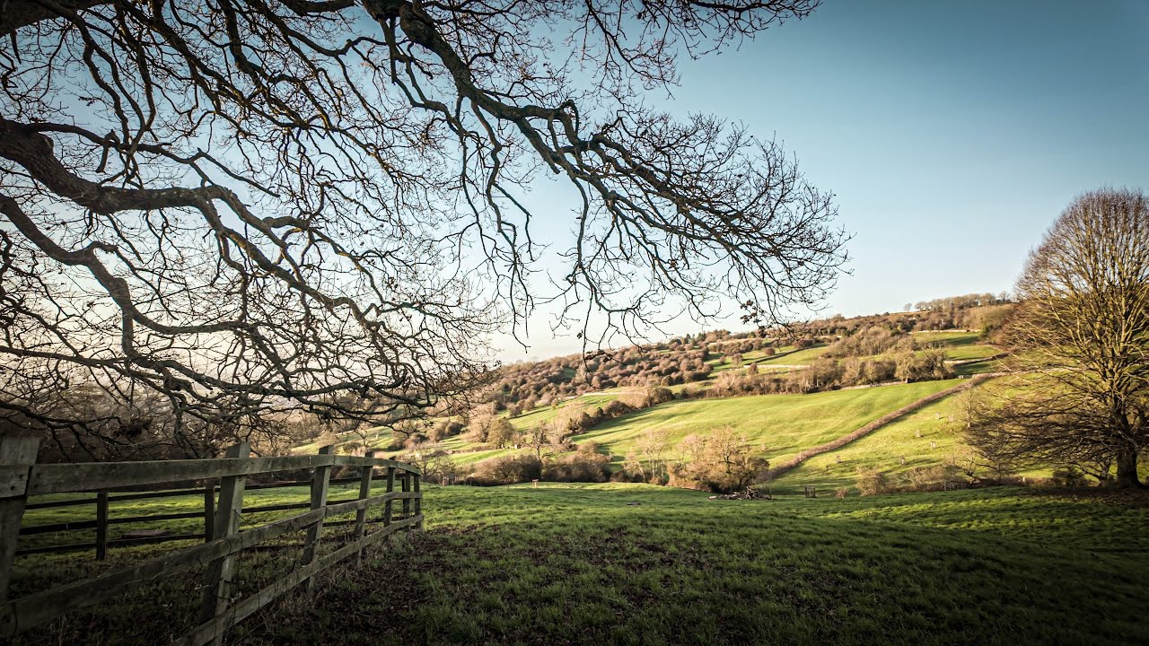 Piano & Violin Playlist - Walking in the English Countryside