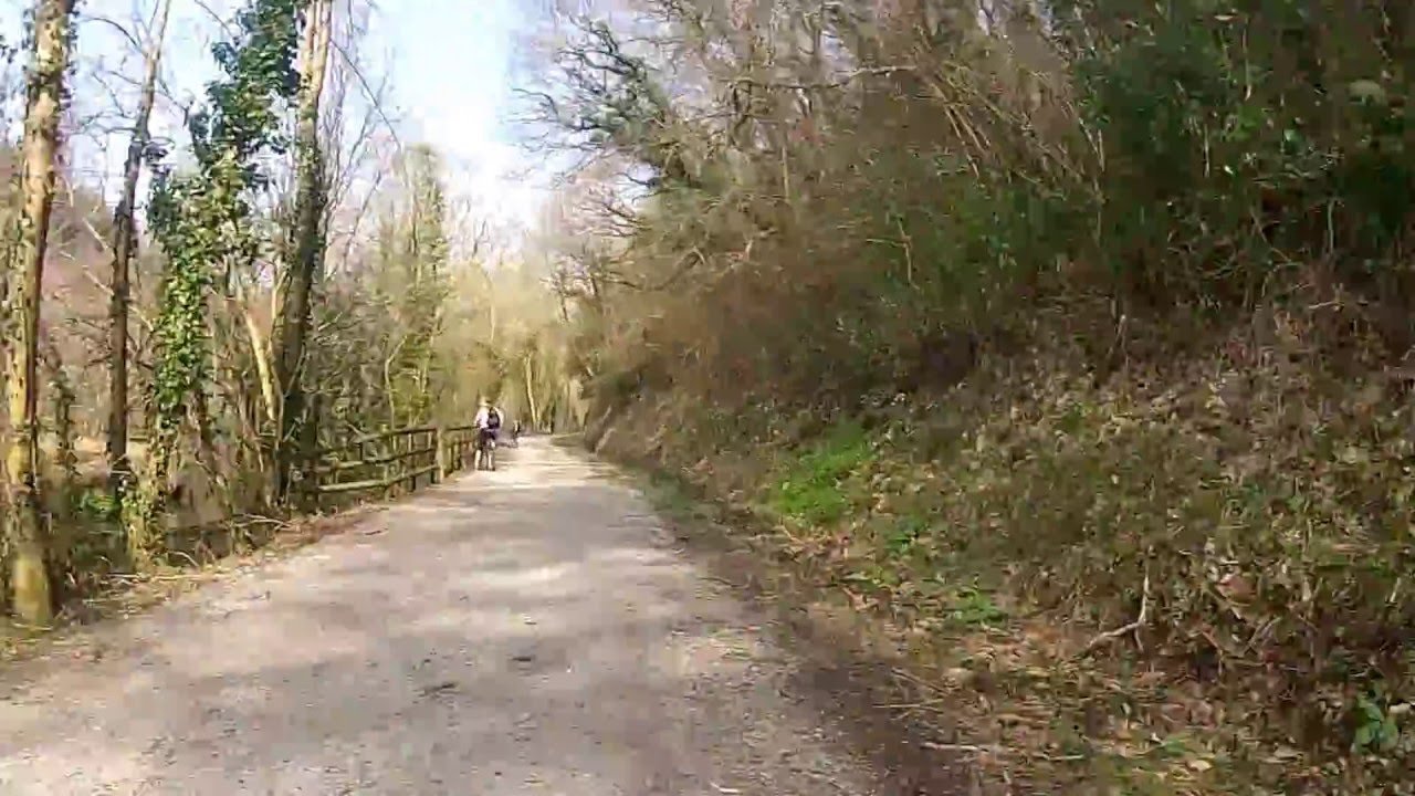 Camel Trail from Bodmin to Wadebridge