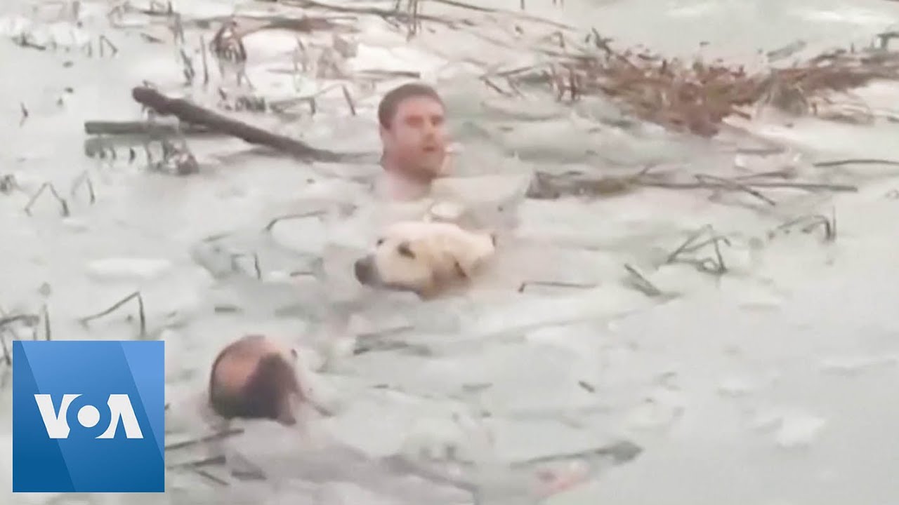 Police Rescue Dog from Frozen Reservoir as Cold Front Hits Spain