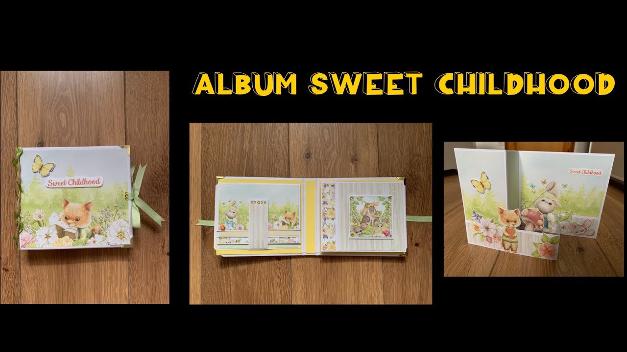 PRÉSENTATION SCRAP Album Zig Zag + petit BONUS carte assortie 