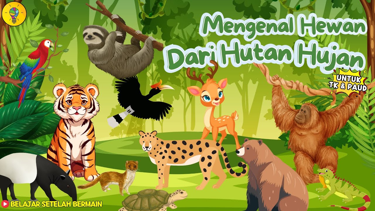 Mengenal Hewan yang Hidup di Hutan Hujan - Belajar Setelah Bermain