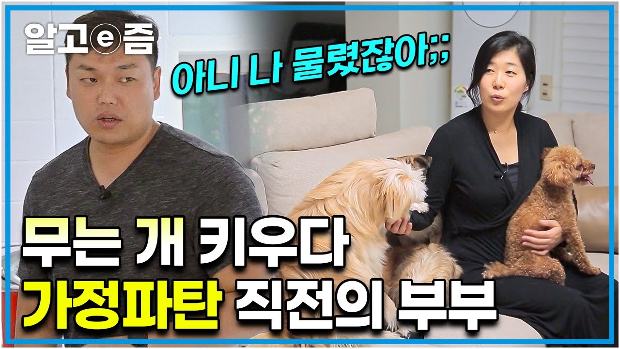 남편만 보면 미친 듯이 짖는 개에 틀어지는 부부 사이. 임시보호를 받으며 행복한 견생을 살게 해준 남편 보호자를 이유 없이 혐오하는 개│세상에 나쁜 개는 없다│알고e즘