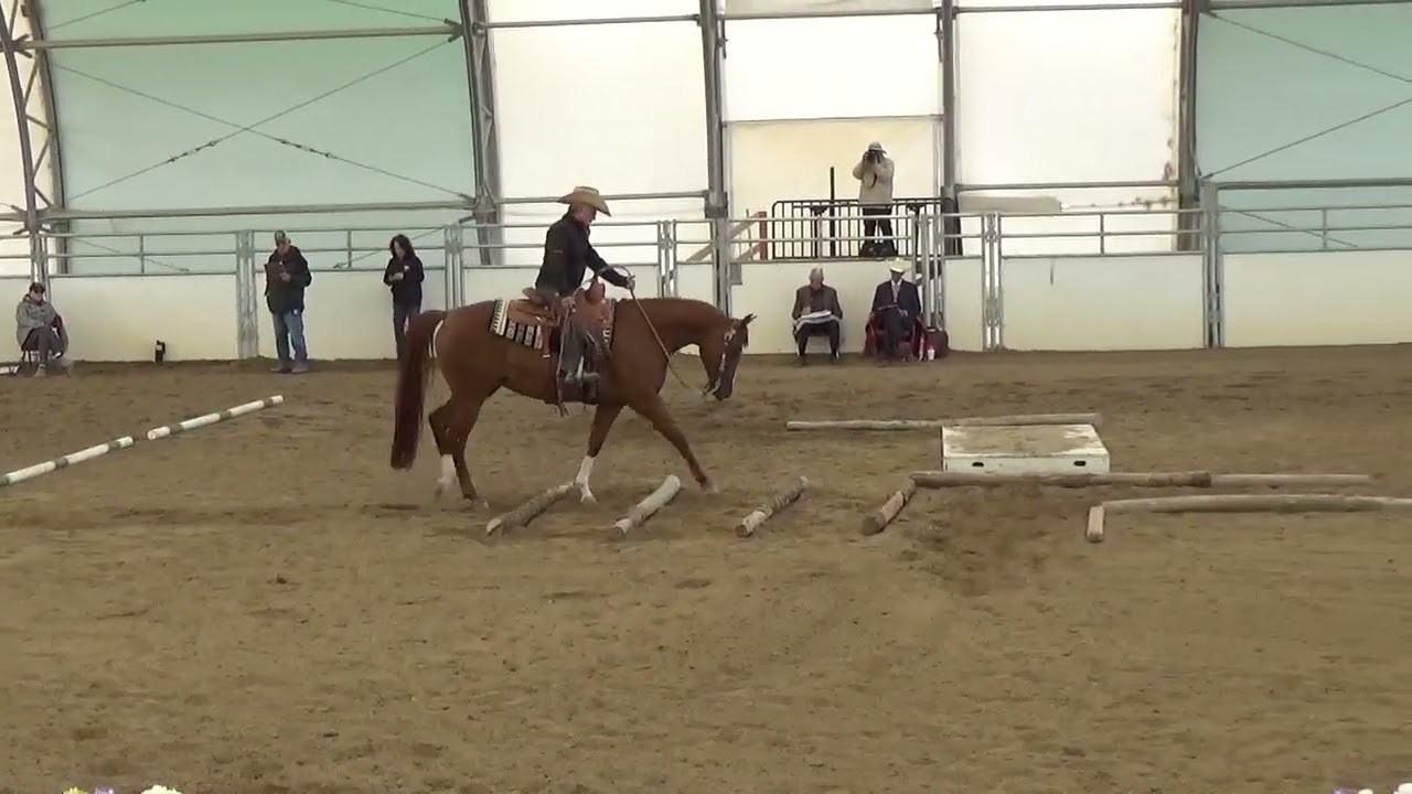 2024 REGION 4 CLASS 421 HA/AA RANCH TRAIL