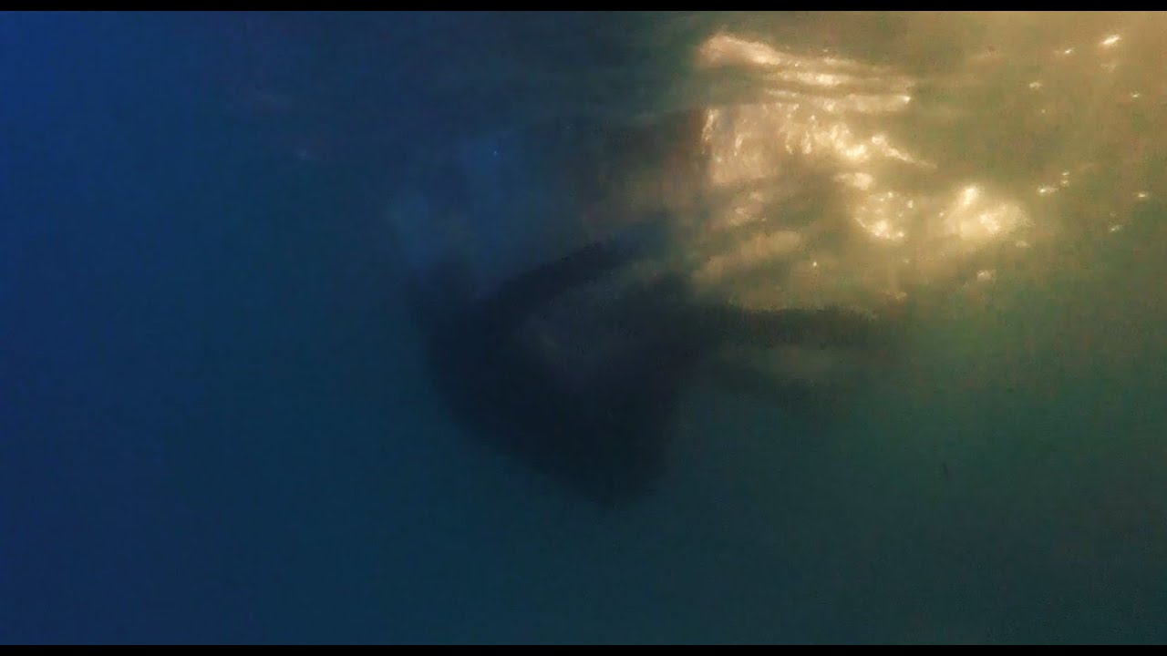 Vitalis - Volando - (Video Oficial)