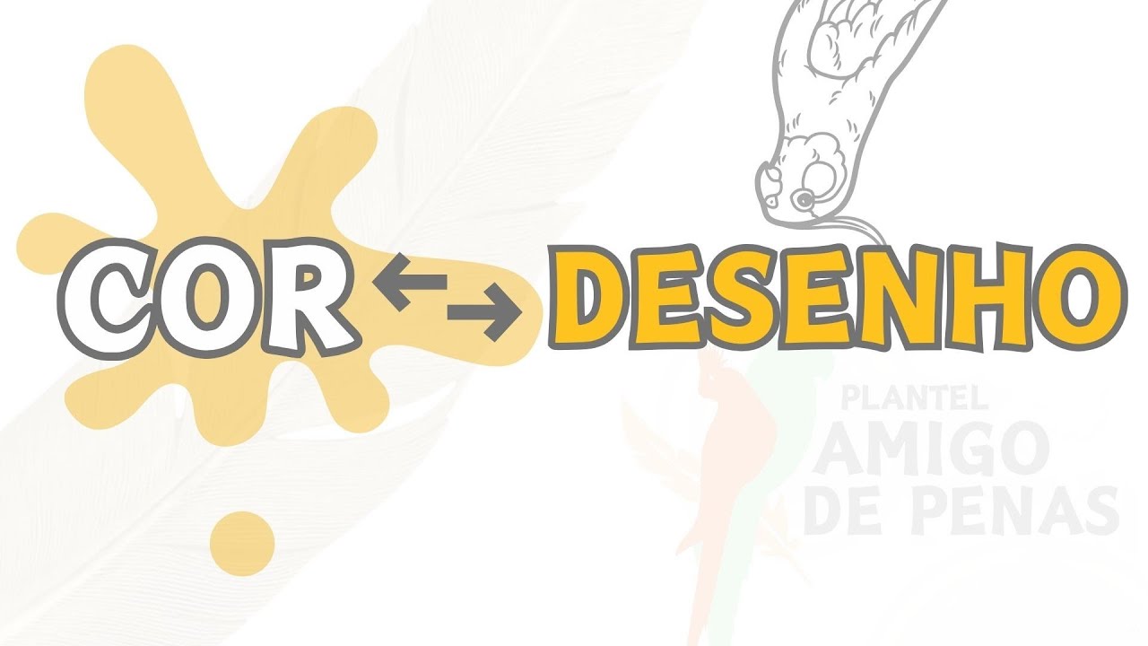 JULGAMENTO DE CALOPSITA, DIFEREN&Ccedil;A ENTRE COR E DESENHO
