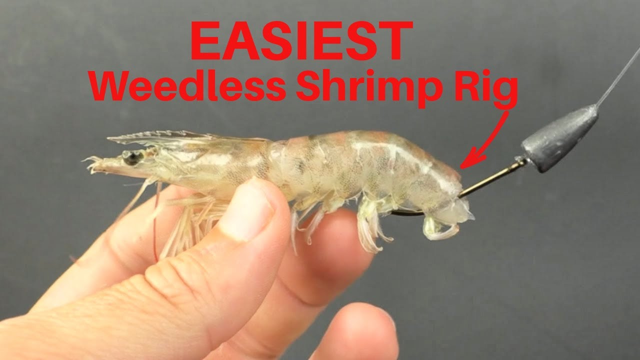 The Easiest Way To Make A Weedless Shrimp Rig