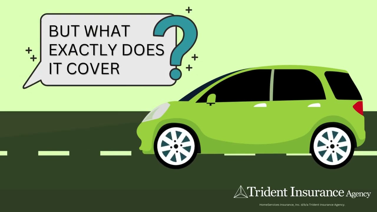 Auto Insurance