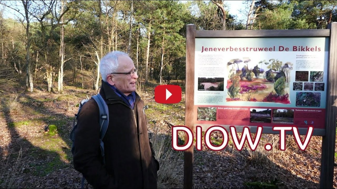 IVN Wandeling over de Brouwhuiseheide