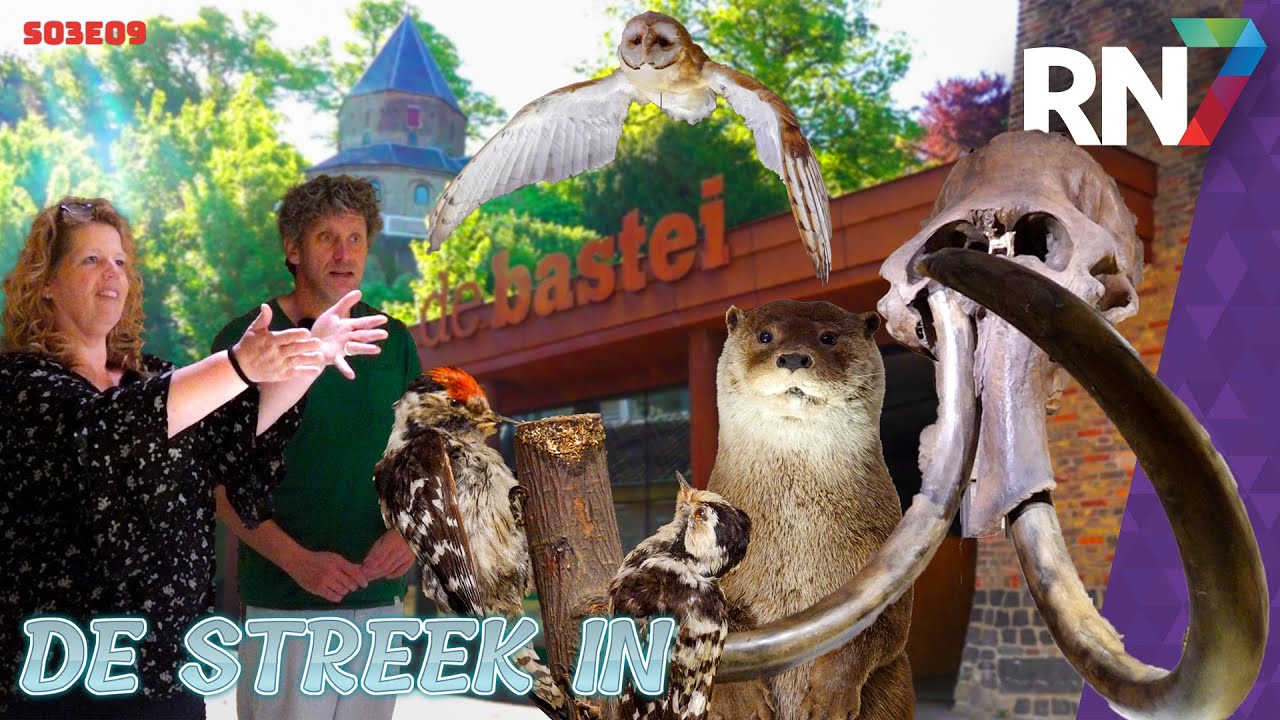 De Bastei in Nijmegen  ||  DE STREEK IN