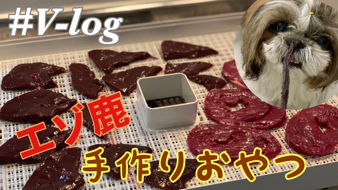 【v-log】超簡単！無添加手作りジャーキーが出来るまで