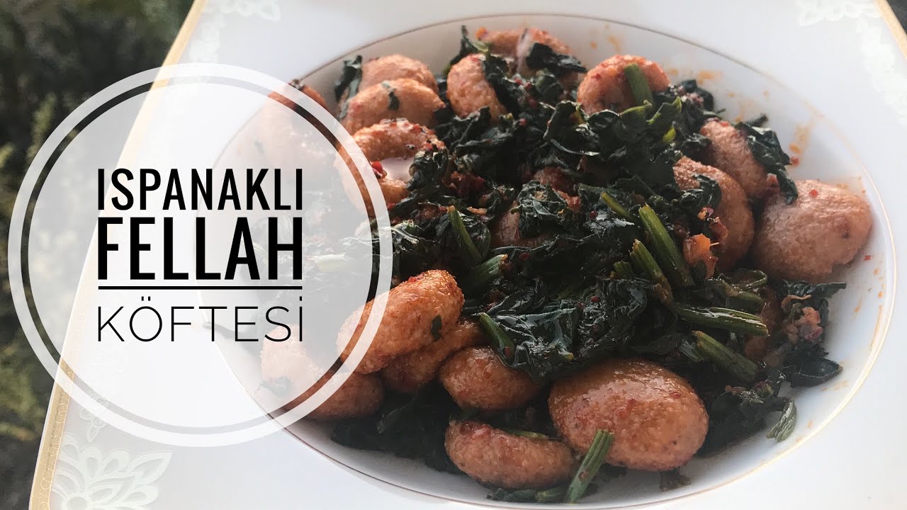 Ispanaklı Fellah Köftesi Nasıl Yapılır l Thayrucet l Gamzeli Köfte